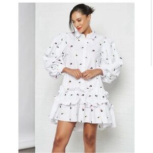 NWT Sister Jane Dress

White poplin ruffled dress with floral embroidery